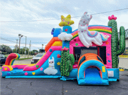 Cute llama and hearts bounce house combo rental 1718349418 Lama Bounce House and Slide Combination